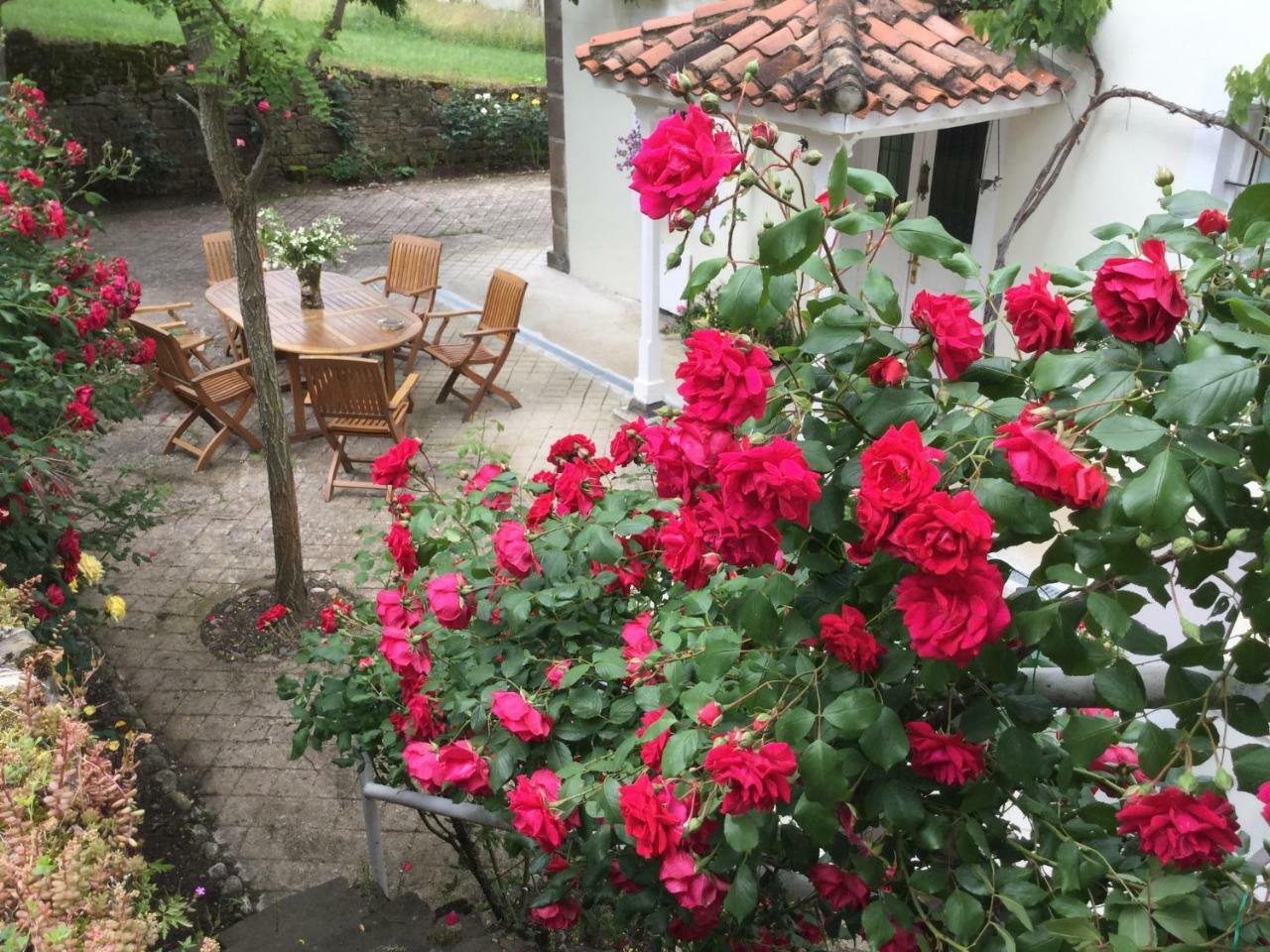פוטס Villa Elena מראה חיצוני תמונה